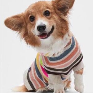 Gap Striped Dog Sweater